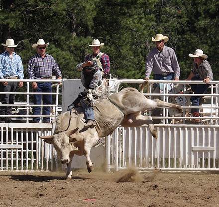 centurion systems steiner rodeo steer prca wrestler